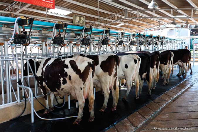 During the installation and start-up of milking machines, an IO-Link solution permits the automatic reading of sensor ID and sensor diagnosis, ensuring reliable operation.