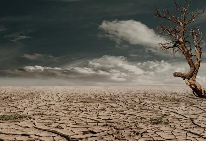 Bad water management makes drought worse, study finds Bad water management makes drought worse, study finds