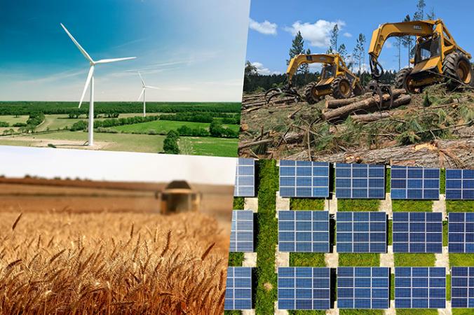 EU Faces Costly Energy Transition Without Biomass Investment