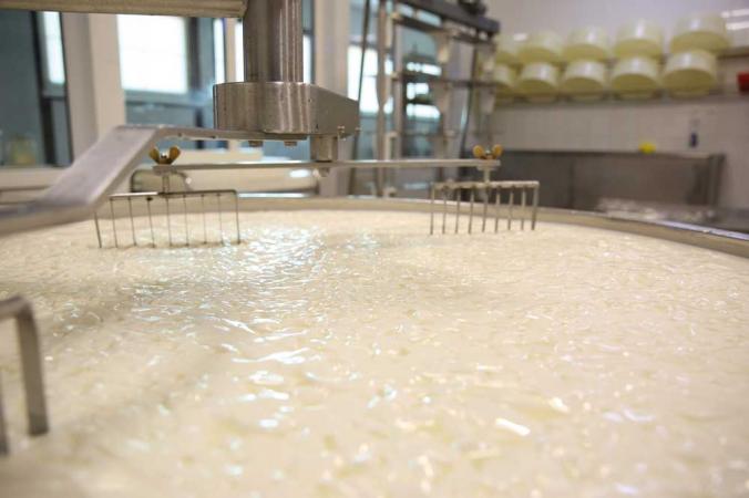 The Microbial Revolution 
