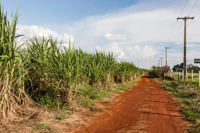 World-First Engine Test Converts Sugarcane into Clean Energy
