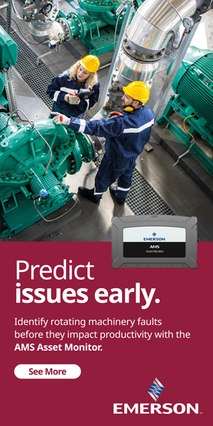 EMR_AMS-Asset-Monitor-banner_300x600_MW[62]OCT