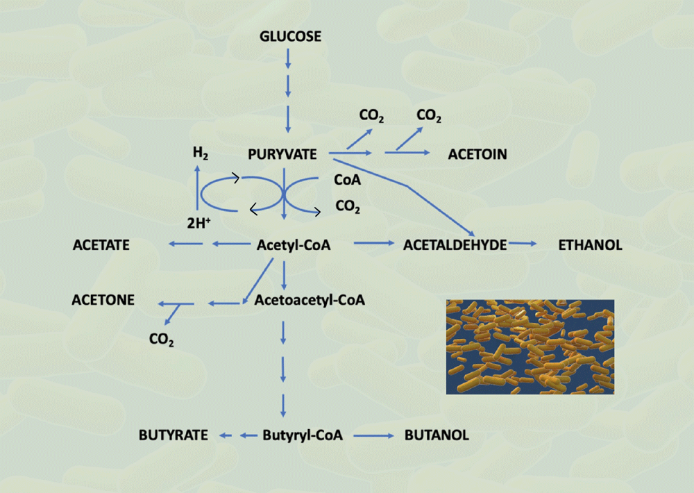Fig-4