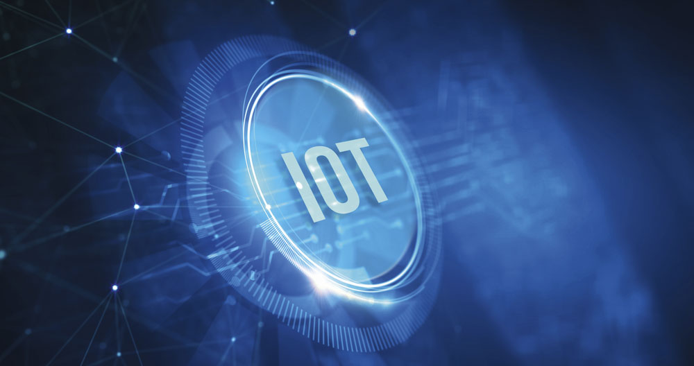 shutterstock_2666393269