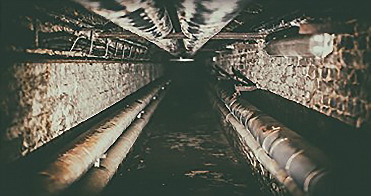thumbnail_Picture2-high