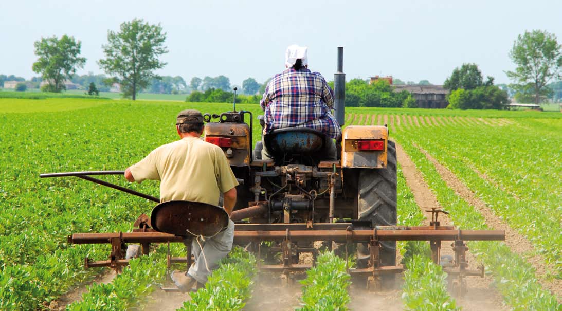 Safe Maintenance in Agriculture HSE Maintworld