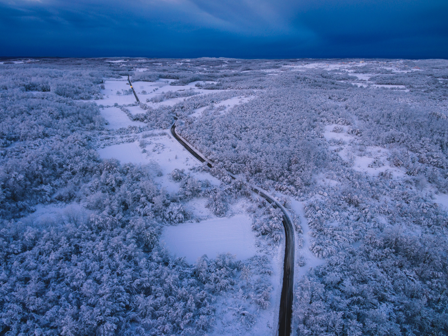 Winter (1)